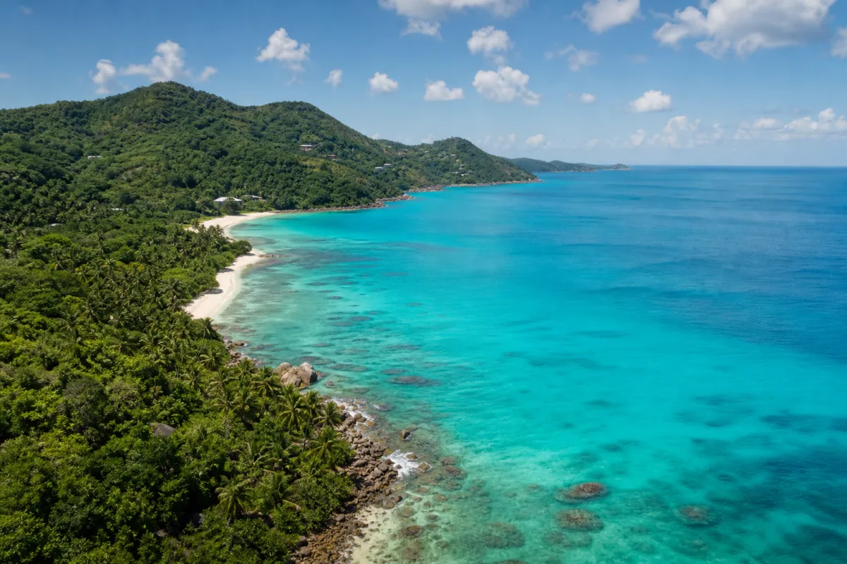 Turquoise Caribbean coastline with palm trees and white sand